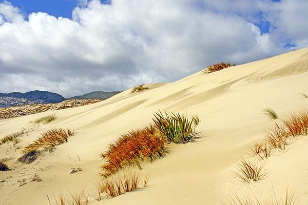 Isla de Stewart, la isla diferente de Nueva Zelanda