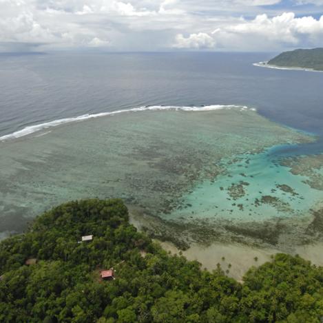 Isla Tetepare, Islas Salomón