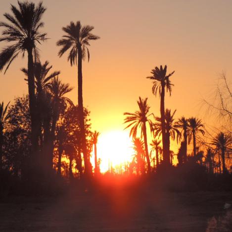 El Palmeral, Marrakech, Marruecos