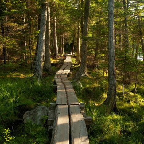 Acadia National Park, Costa este de Estados Unidos