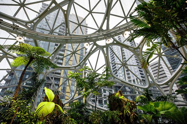 Seattle y sus proyectos urbanísticos: Amazon, The Spheres