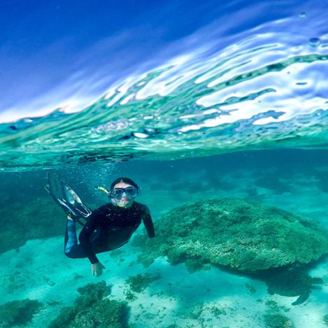 Arrecife de Ningaloo, Australia