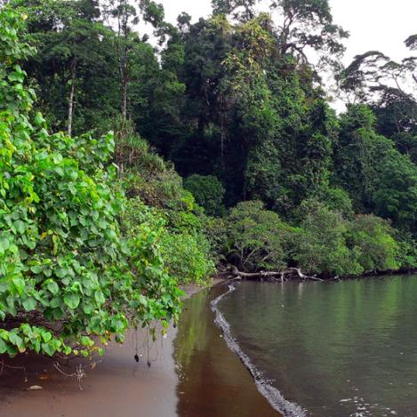 Limbe, Camerún