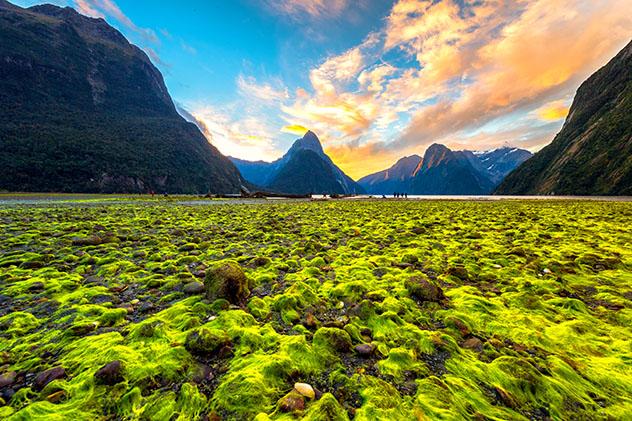 Milford Sound, Nueva Zelanda