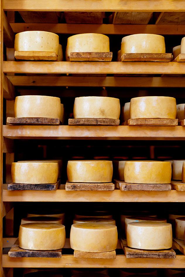 Zadar, gastronomía, el famosos queso de la isla de Pag