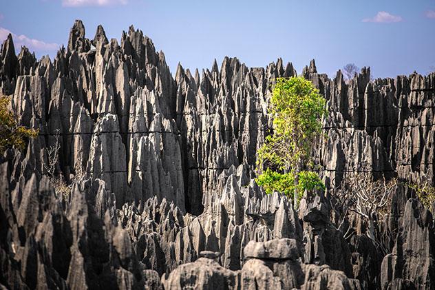 Tsingy de Bemaraha, Madagascar: una de las maravillas del mundo