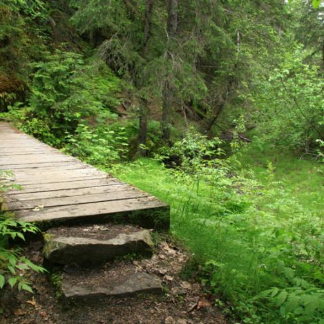 Senderismo en el Chilkoot Trail, Alaska, EE UU