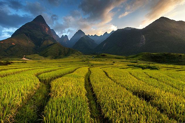 Arrozales de la provincia de Lao Cai, cerca de la frontera con China. Los autobuses, los vuelos y los trenes hacen que desplazarse por Vietnam sea relativamente sencillo © Sarawut Intarob/500px