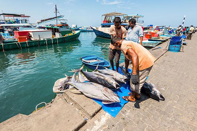 Mercado de pescado en Malé, Maldivas © byvalet / Shutterstock