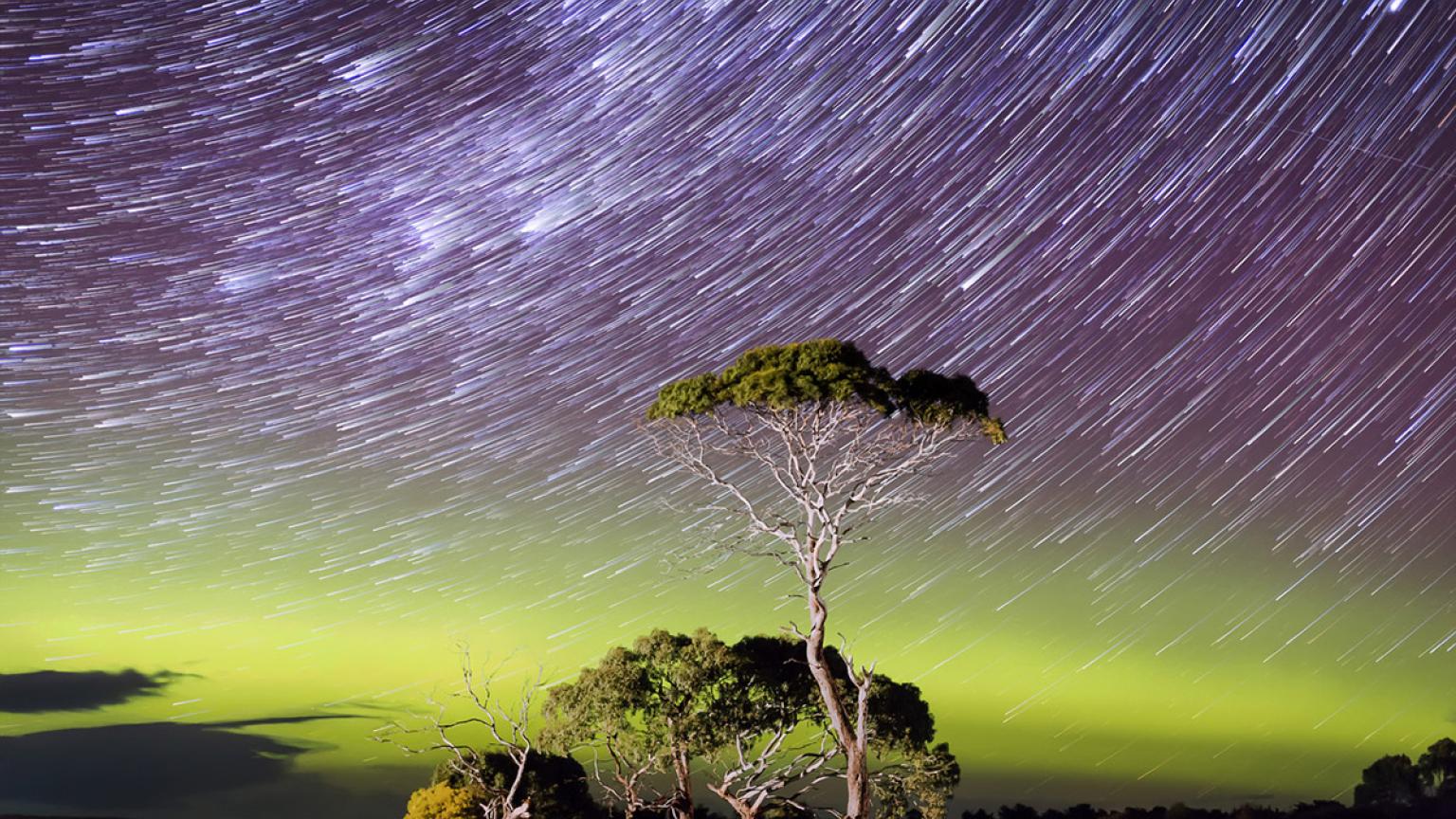 Astrofotografía de la Vía Láctea y cielo oscuro