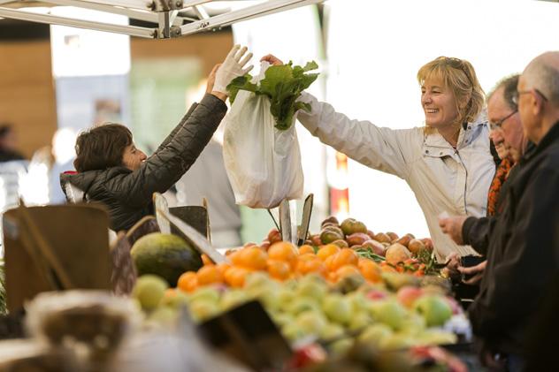 Día de mercado con productos autóctonos, Estella, Navarra © www.estellaturismo.com