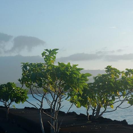 Península Mulinu’u, Samoa