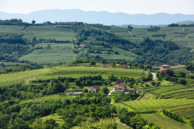 Eslovenia vinos: viñedos del Goriška Brda