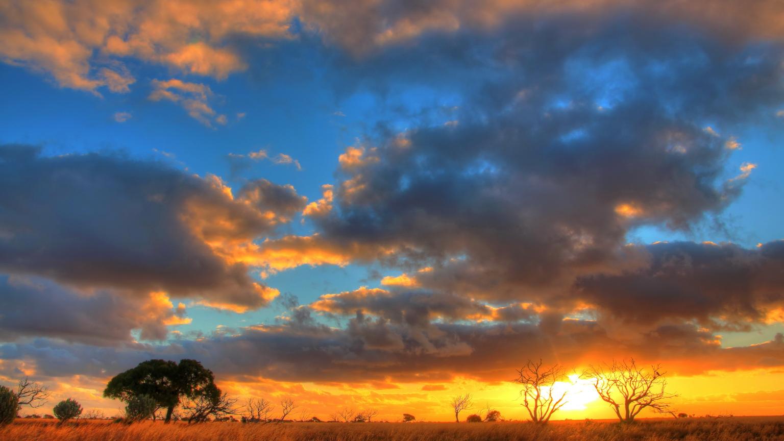 Llanura Nullarbor. 