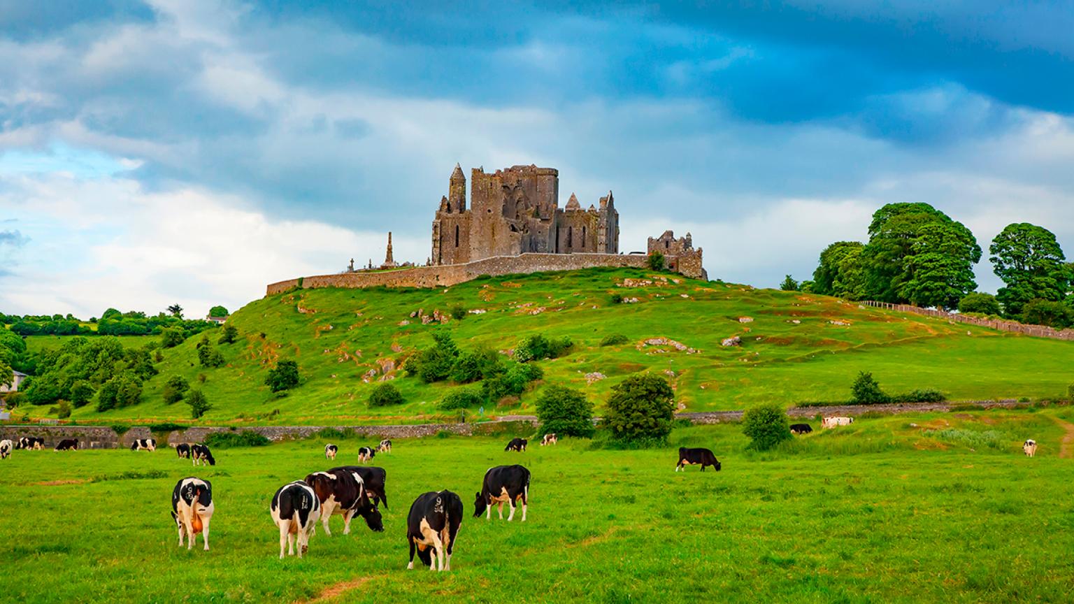 Idílico paisaje irlandés, Roca del castillo de Cashel en segundo plano, condado de Tipperary, Irlanda foto de viaje