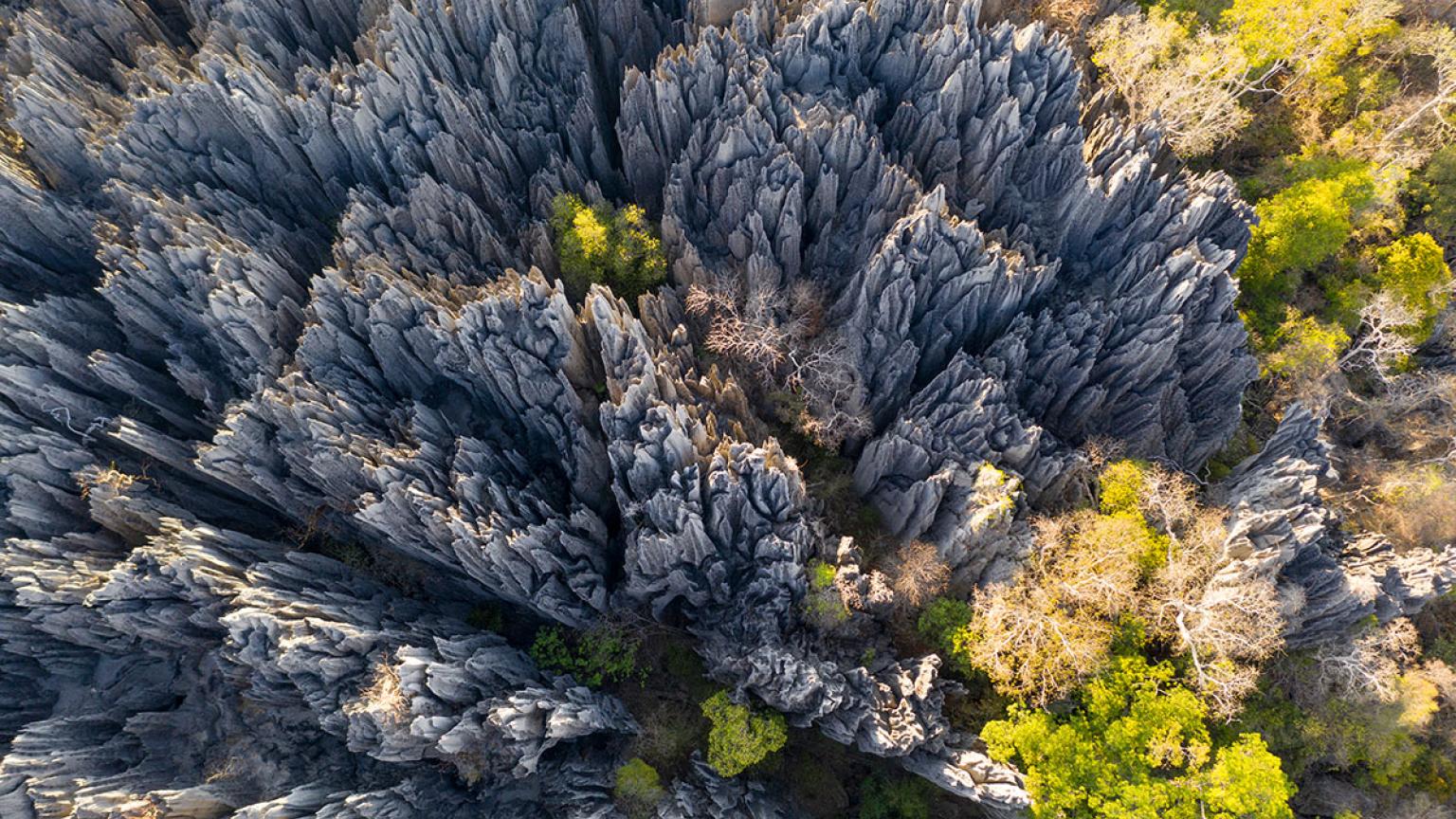 Tsingy de Bemaraha, Madagascar