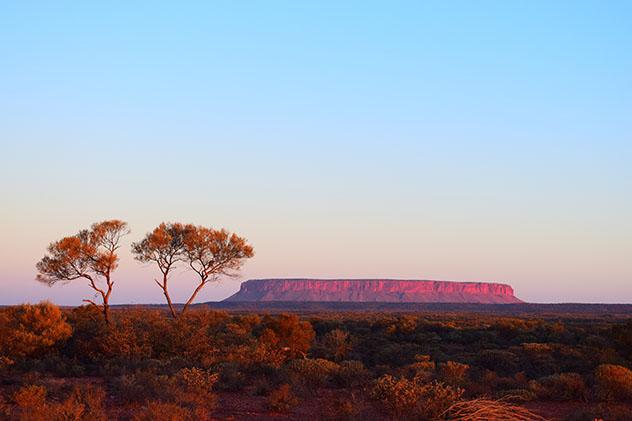 Lo mejor del Centro Rojo de Australia: Atila, conocido como 