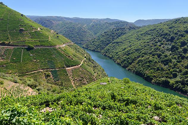 Valle del Sil y Ribeira Sacra, Lugo y Orense, Galicia, España