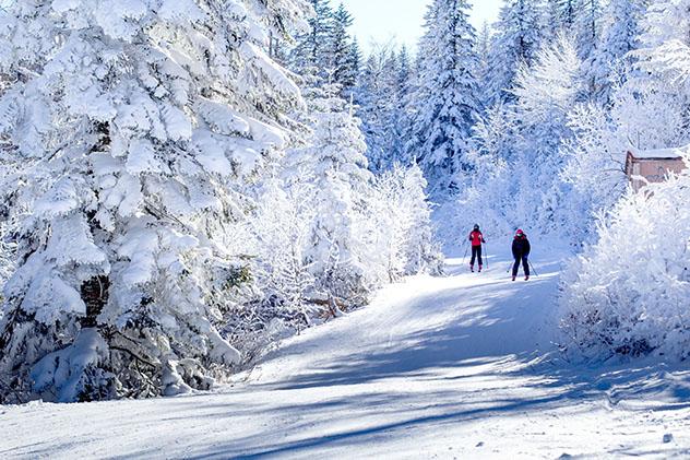 Esquiadores disfrutando de un día soleado en la montaña de Bjelašnica, cerca de Sarajevo, Bosnia y Herzegovina © Bosnian / Shutterstock