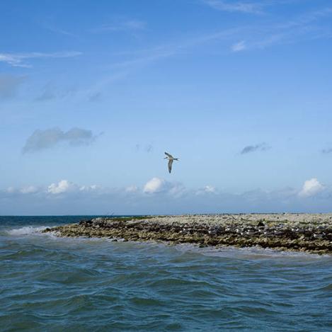 Isla de Navidad, Kiribati