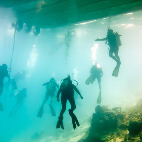 Submarinismo en el Gran Agujero Azul, Belice