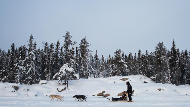 El primer ministro Trudeau y su hijo mayor paseando en un trineo tirado por perros en los Territorios del Noroeste, Canadá © Adam Scotti/PMO