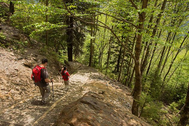 Parque Nacional Great Smoky Mountains