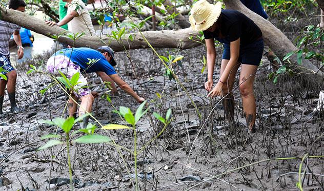 El voluntariado hace que uno se sienta útil © Dilok Klaisataporn / Shutterstock