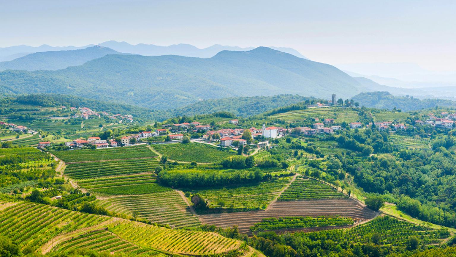 Región vinícola de Eslovenia