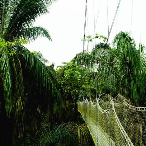 Centro de Conservación de Lekki, Nigeria