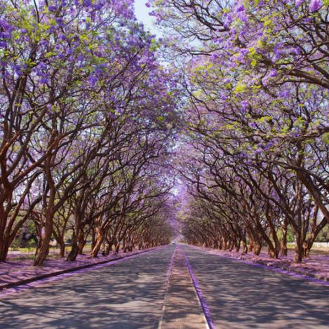 Harare, Zimbabue