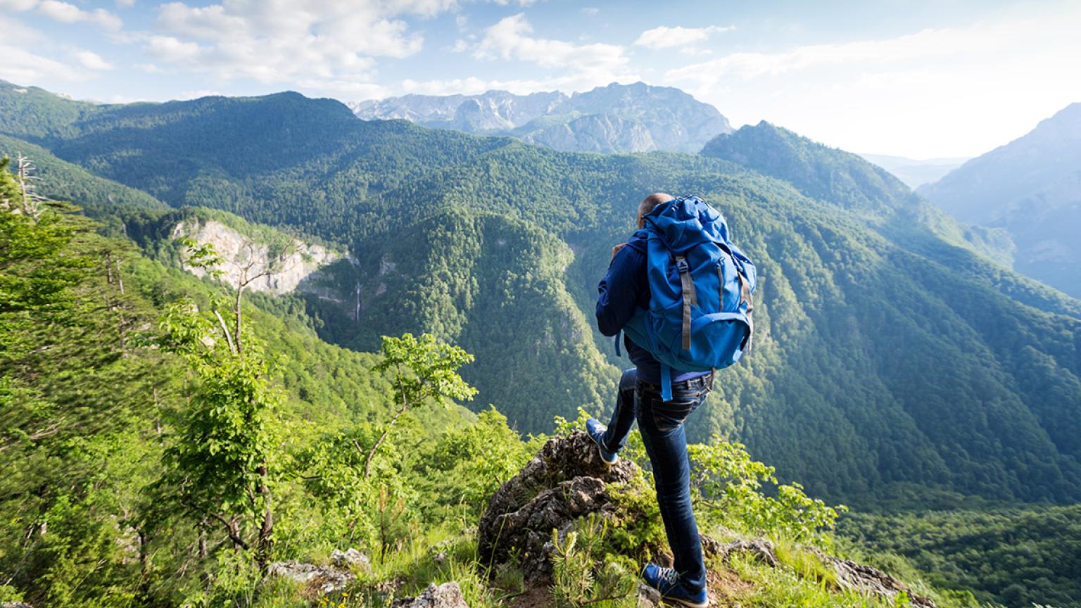 Contemplando el prístino bosque del Parque Nacional Sutjeska, Bosnia y Herzegovina