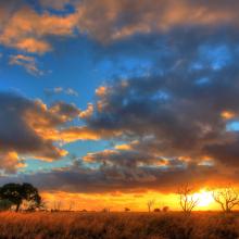 Llanura Nullarbor. 