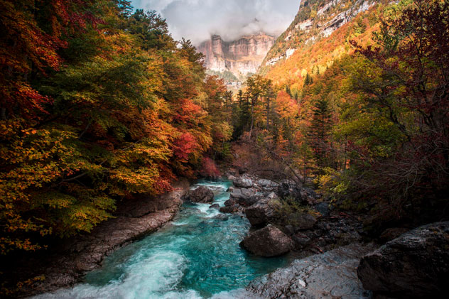 Río Arazas en su camino por el valle de Ordesa. © Adrian Sediles Embi/Shutterstock