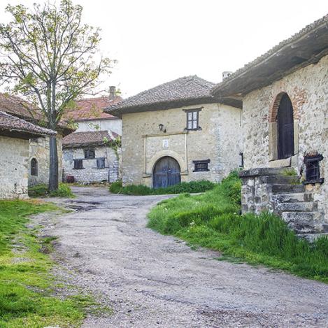Bodegas de Rajac en la región de Negotin, Serbia