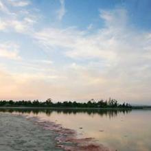 Lago Salado en Larnaka, Chipre