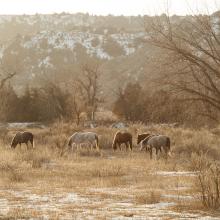 Landscapes of Theodore Roosevelt National Park, North Dakota