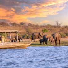 Chobe National Park.