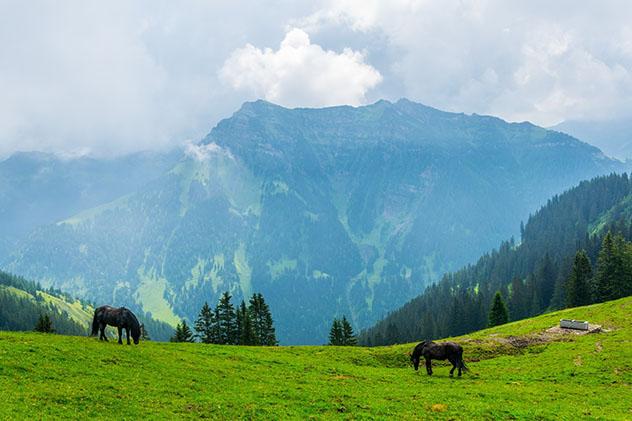 La famosa ruta senderista Fürstensteig es como un rito de paso para los liechtensteinianos © trabantos / Shutterstock