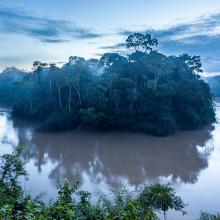 Parque Nacional Yasuní, Ecuador