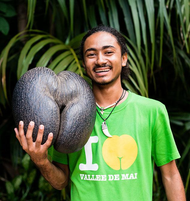 Coco de mar, Valleé de Mai, Seychelles © Justin Foulkes / Lonely Planet