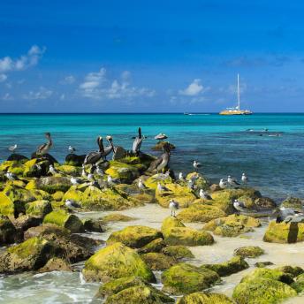 Aruba