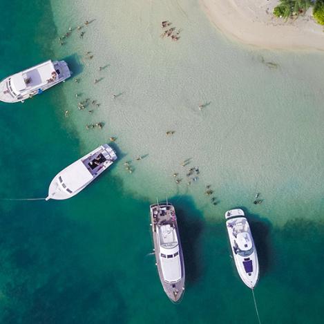 Starfish Point, Islas Caimán