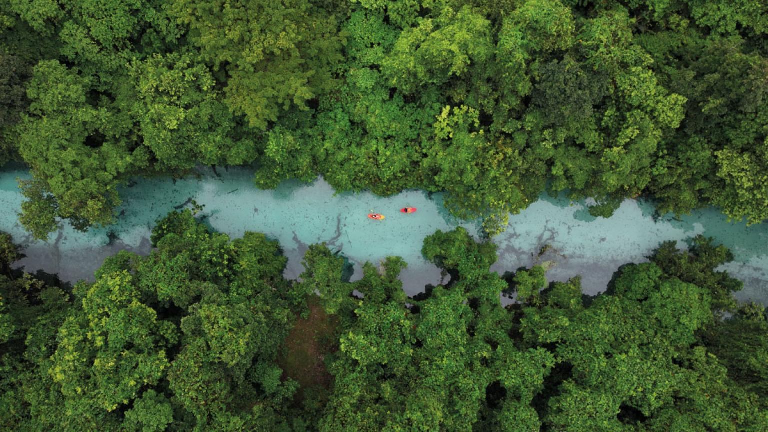 Kayak en el Matevulu Blue Hole, isla de Espíritu Santo.