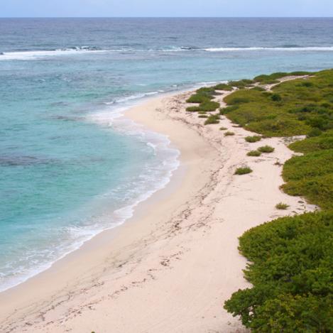 Isla Great Bird, Antigua