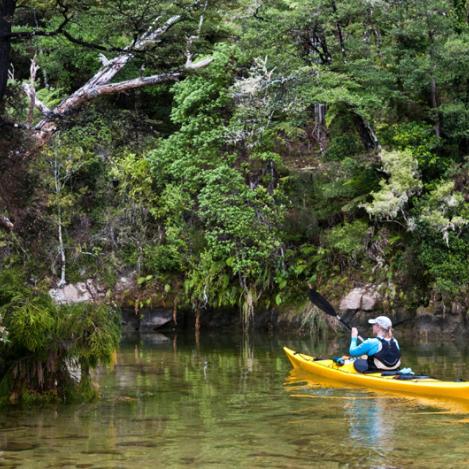 Abel Tasman National Park, Nueva Zelanda