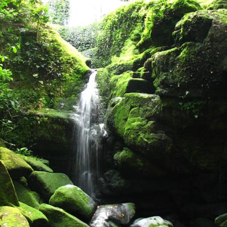 Parque Nacional Ivindo, Gabón