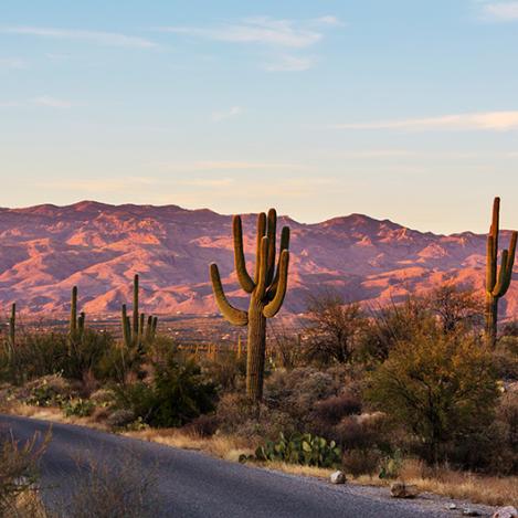Los desiertos de EE UU