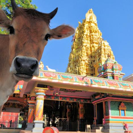 Jaffna, Sri Lanka