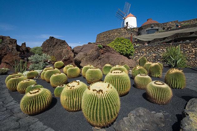 Guatiza, Lanzarote, Canarias, España © Mariusz witulski / Shutterstock